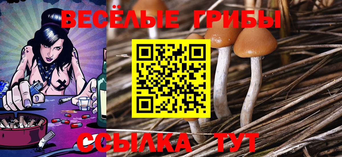 Псилоцибиновые грибы Magic Shrooms Кохма