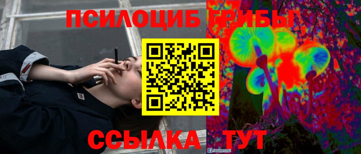 Галлюциногенные грибы мухоморы  Псилоцибиновые грибы ЛСД  Вход с VPN  где можно купить   Кохма 
