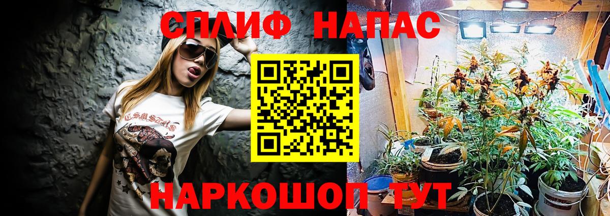 МАРИХУАНА планчик Кохма